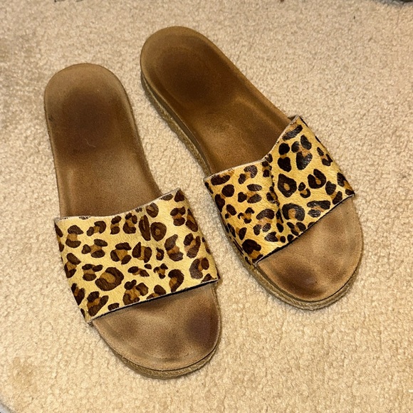 Cheetah slides - Picture 2 of 3